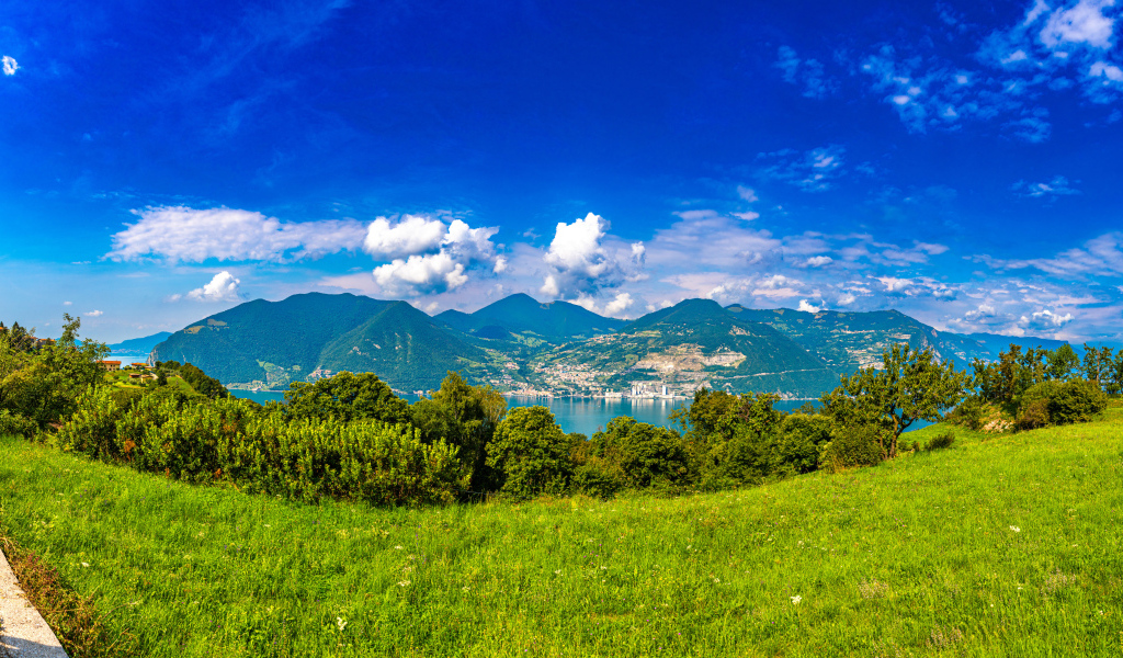 Красивая панорама на горы и зеленую траву