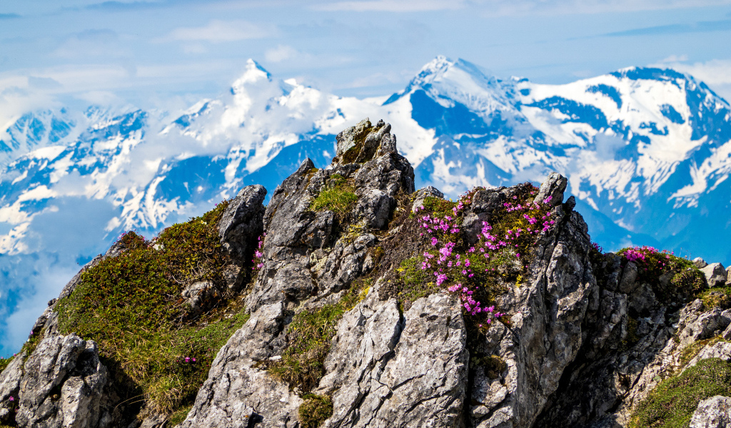 Красивый вид на высокие Австрийские Альпы