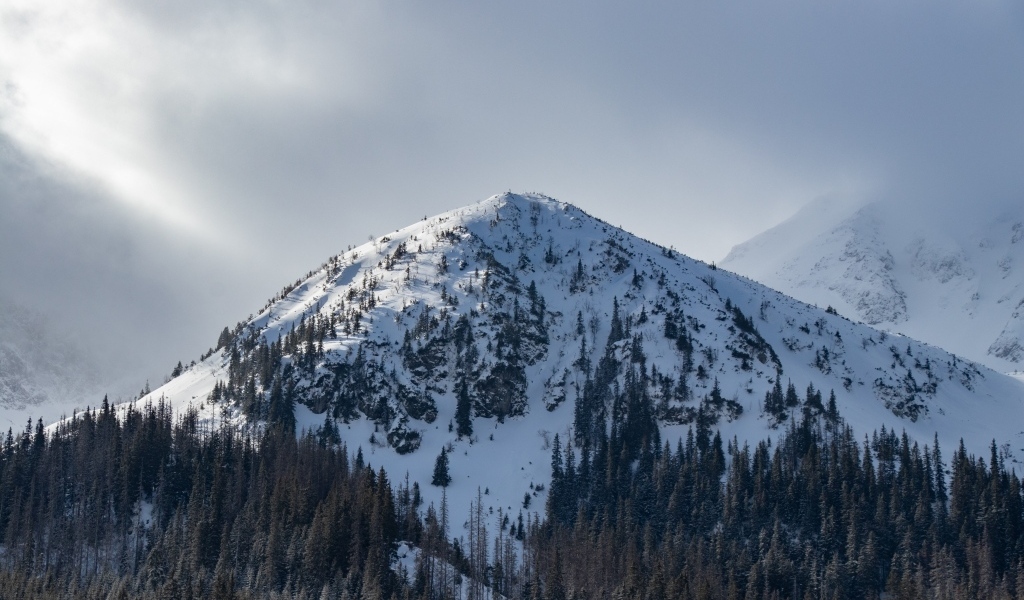 Высокая заснеженная гора под пасмурным небом
