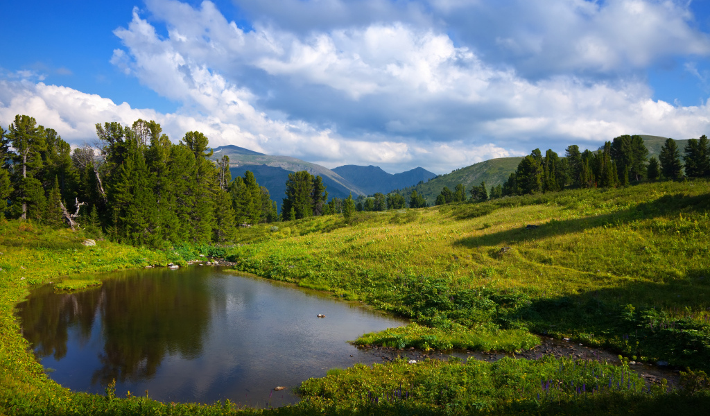 Живописная зеленая горная природа