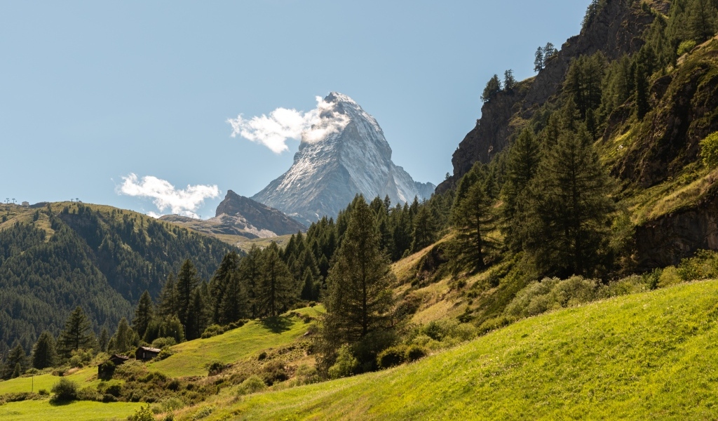 Вид на лес и высокую горную вершину