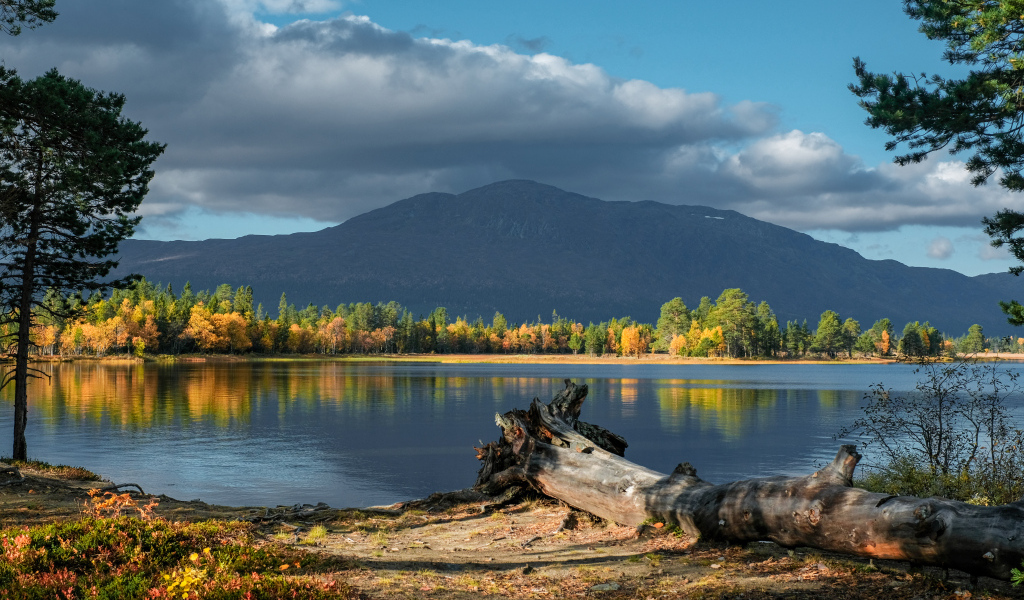 Красивый вид на озеро и гору осенью