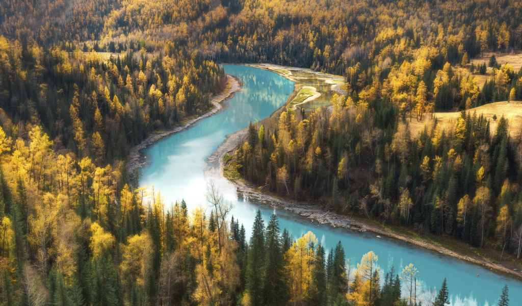 Голубая вода в реке у осеннего леса
