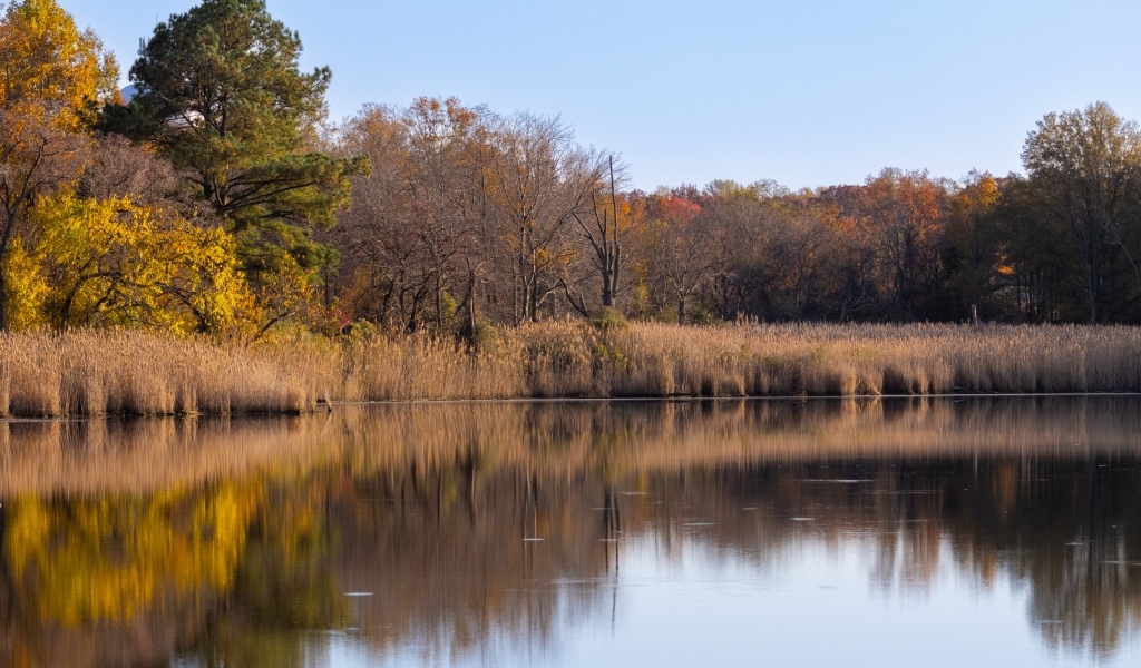 Спокойное озеро в лесу осенью 