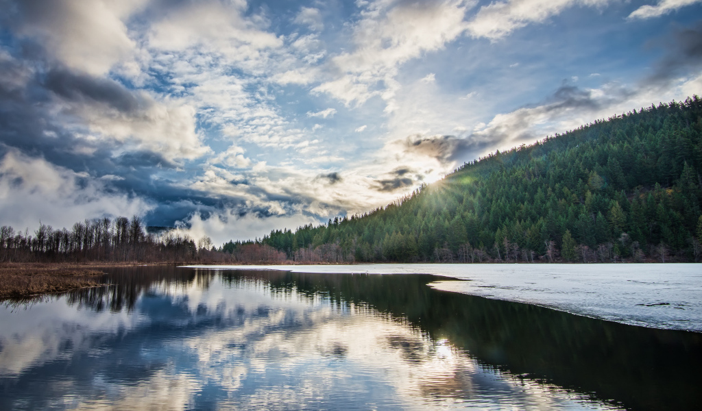 Рассвет яркого солнца над лесом у озера