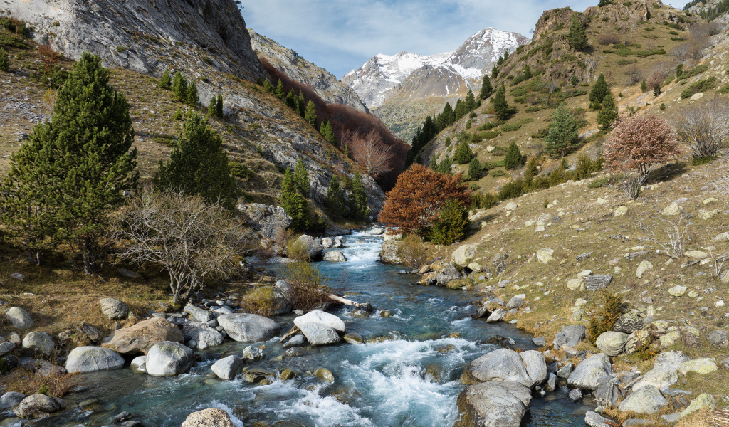Быстрая река в горном ущелье 