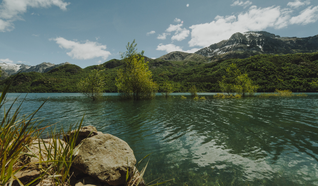 Зеленая вода в реке на фоне гор 