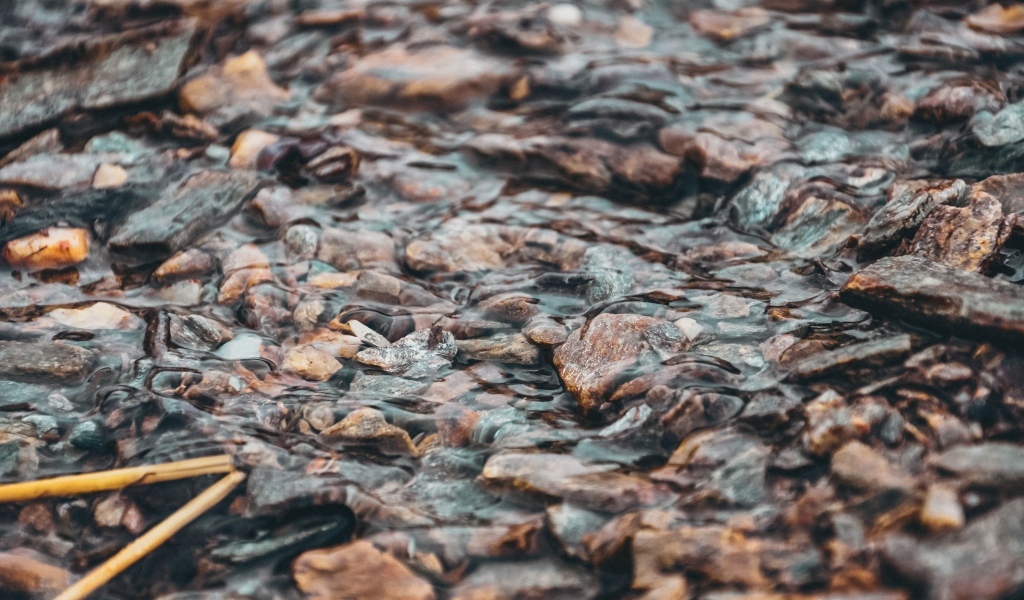 Мелкая река с камнями