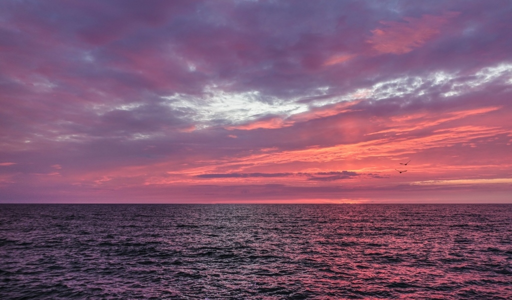 Красивый сиреневый закат над морем