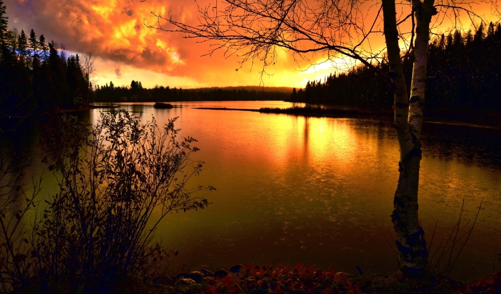 Спокойная гладь реки на закате солнца осенью 