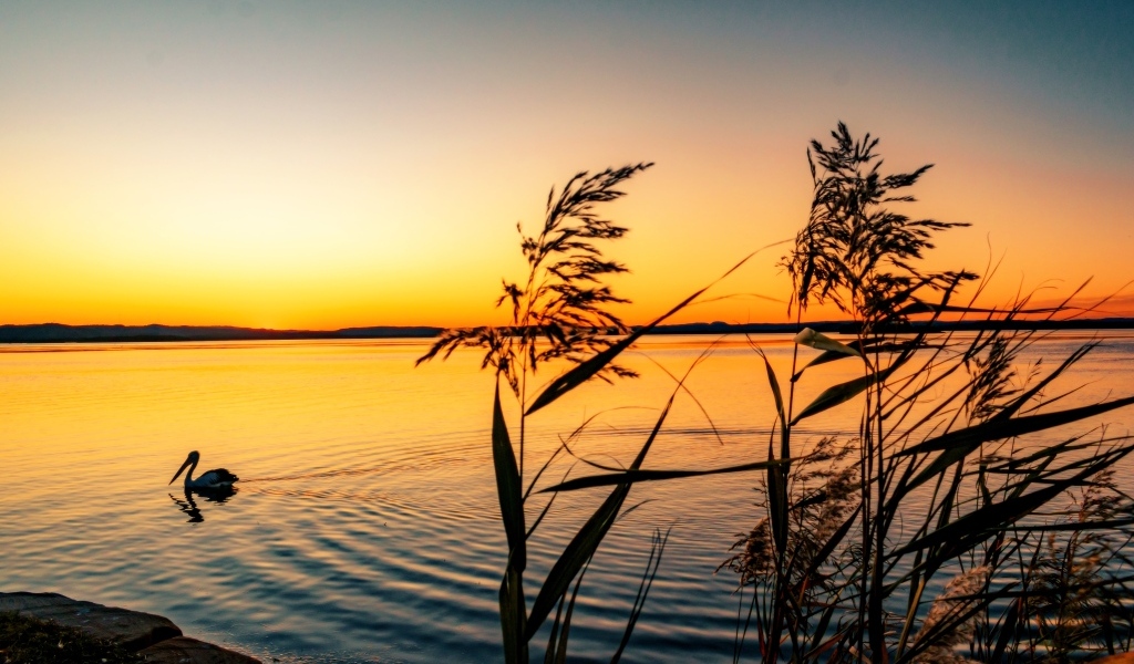 Тихий закат солнца над озером