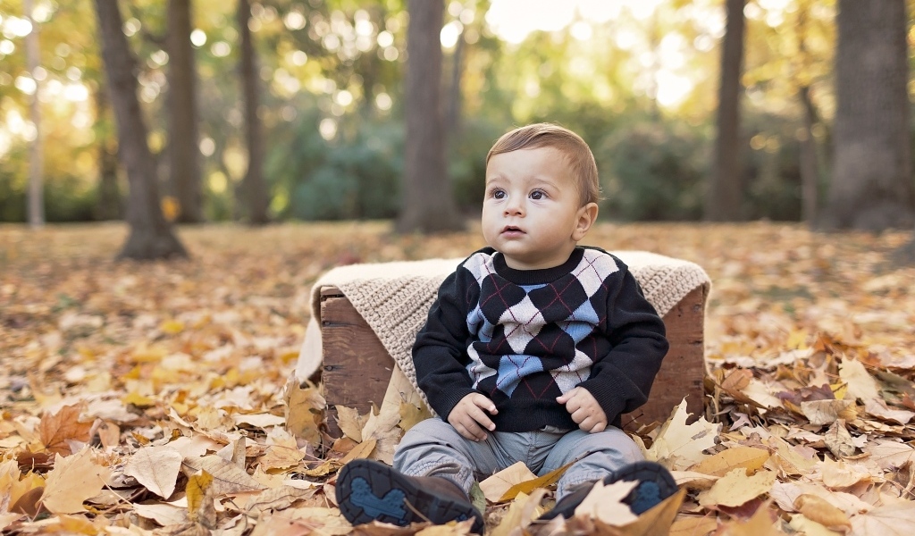 Мальчик сидит на опавшей осенней листве