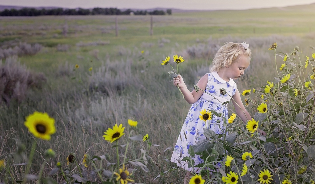 Девочка собирает на поле желтые цветы