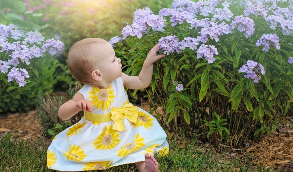 Маленькая девочка в платье сидит у цветов флокса