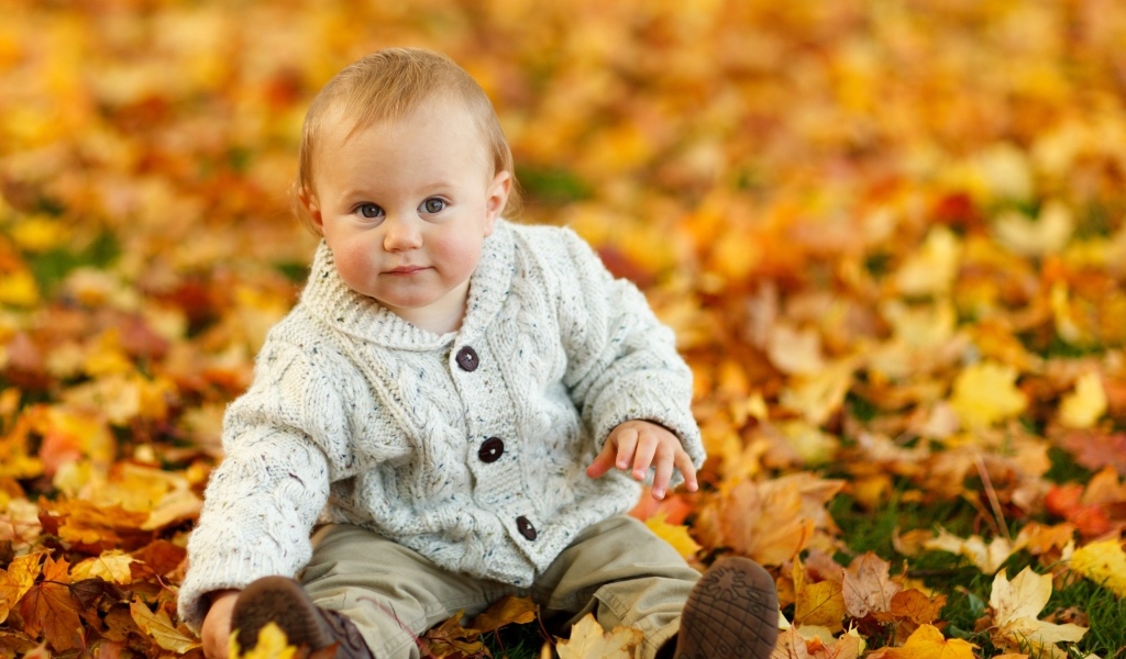 Маленький ребенок сидит на опавших осенних листьях