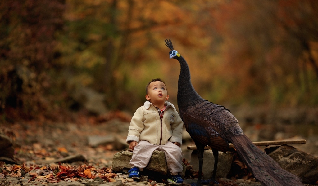 Мальчик с павлином в парке