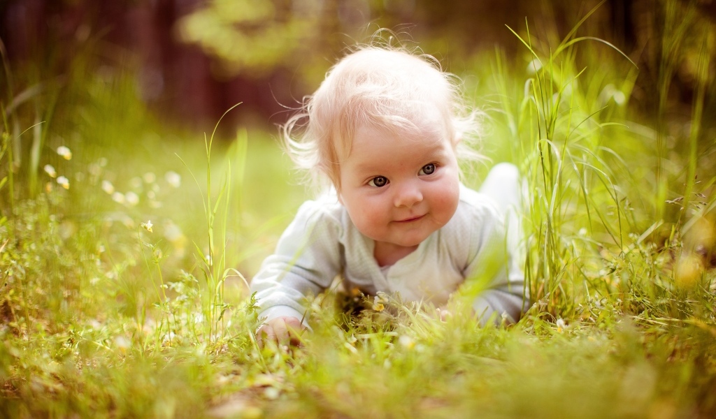 Милый светловолосый ребенок в траве