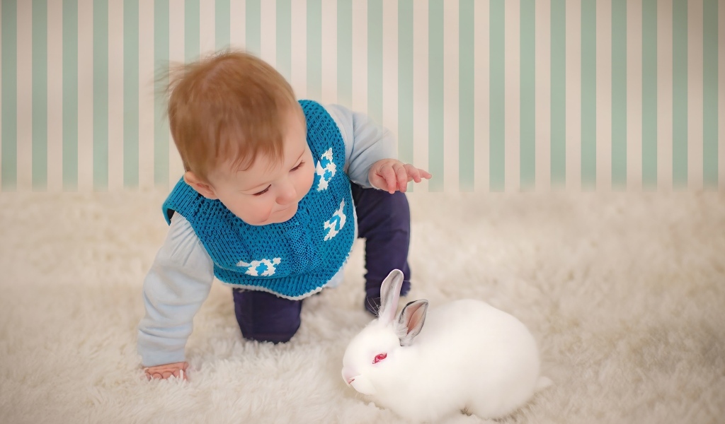 Смешной маленький мальчик с белым кроликом