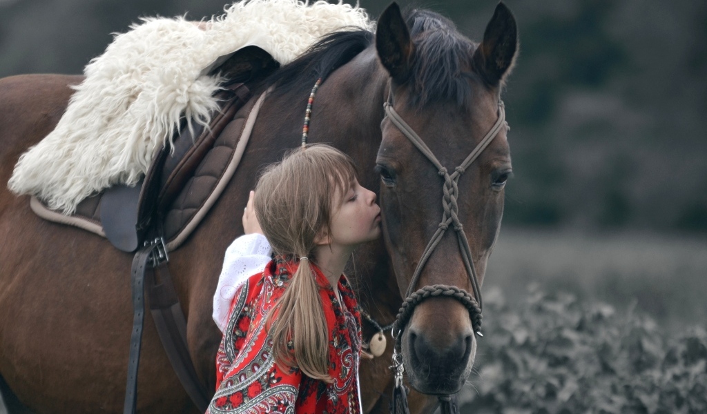 Девочка с большим коричневым конем