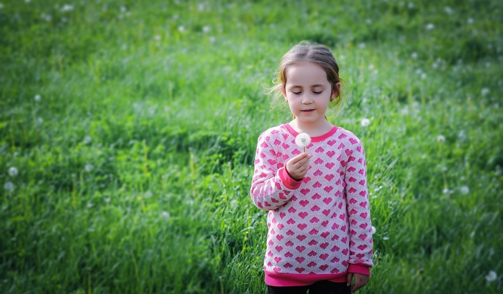 Девочка с одуванчиком на поле с зеленой травой
