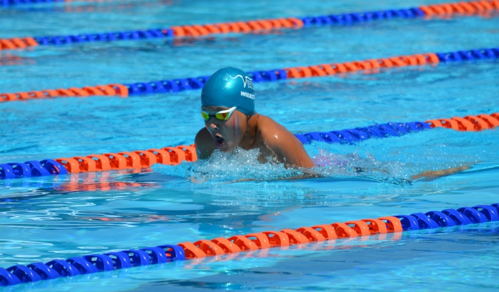 Маленький мальчик пловец в бассейне