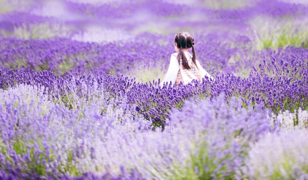 Маленькая девочка гуляет по лавандовому полю