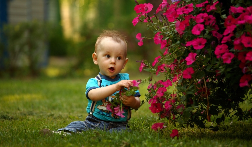 Удивленный малыш сидит у розовых цветов петунии