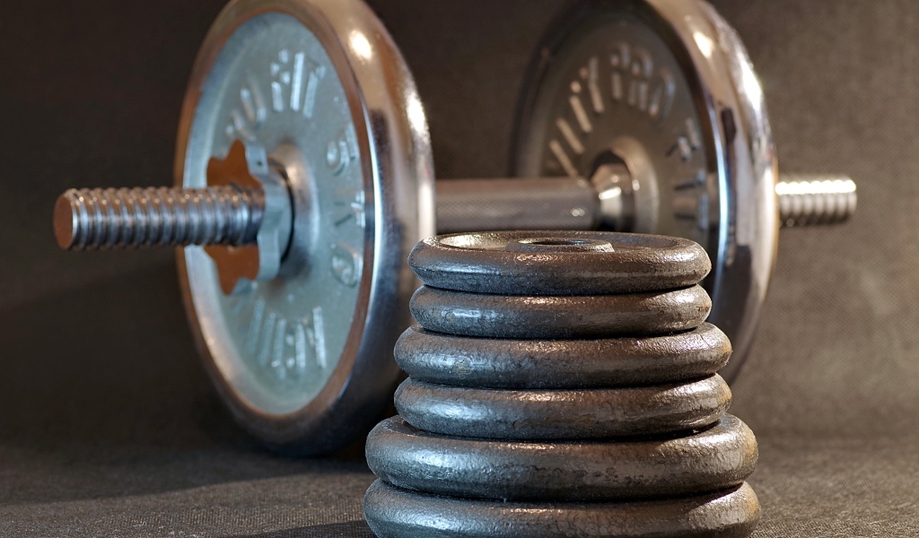 Гантеля с тяжелыми дисками