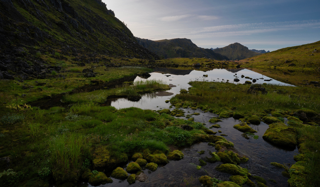Мелкая горная река покрыта зеленью, Норвегия