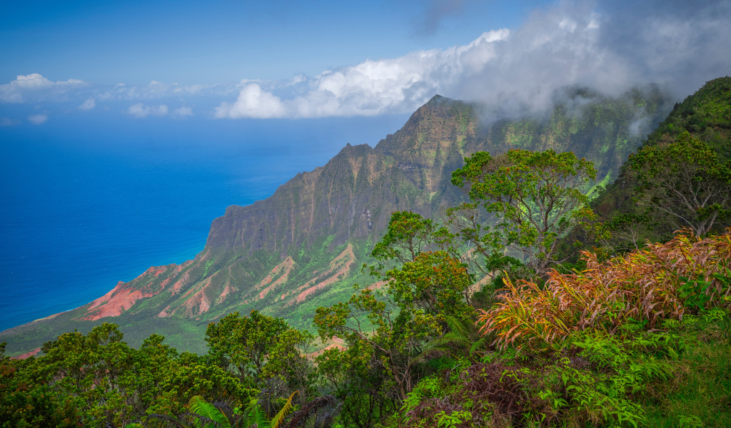 Покрытые зеленью горы на Гавайских островах, США