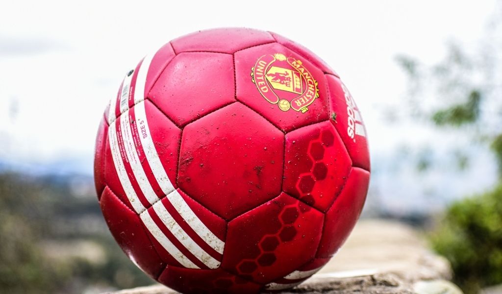 Красный футбольный мяч лежит на камне