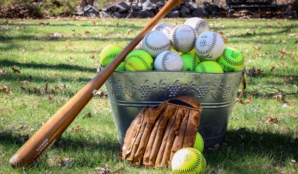 Ведро с бейсбольными мячами и битой