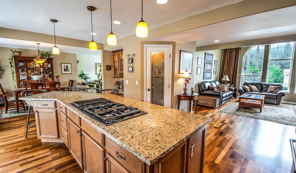 Большая гостиная  с кухней 