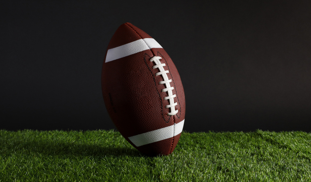 Новый кожаный мяч для американского футбола на траве