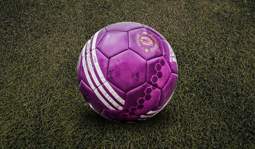 Фиолетовый футбольный мяч на траве