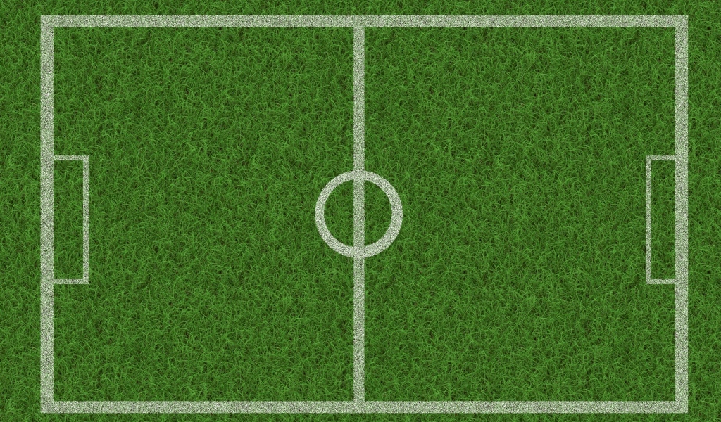 Поле расчерчено белыми линиями на зеленой траве