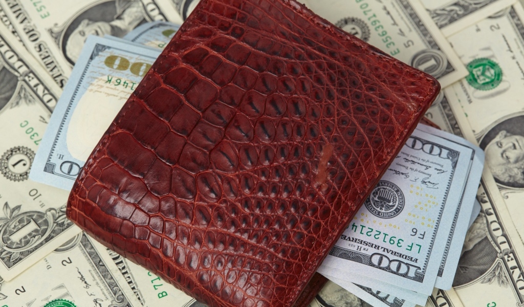 Кожаный кошелек с долларами