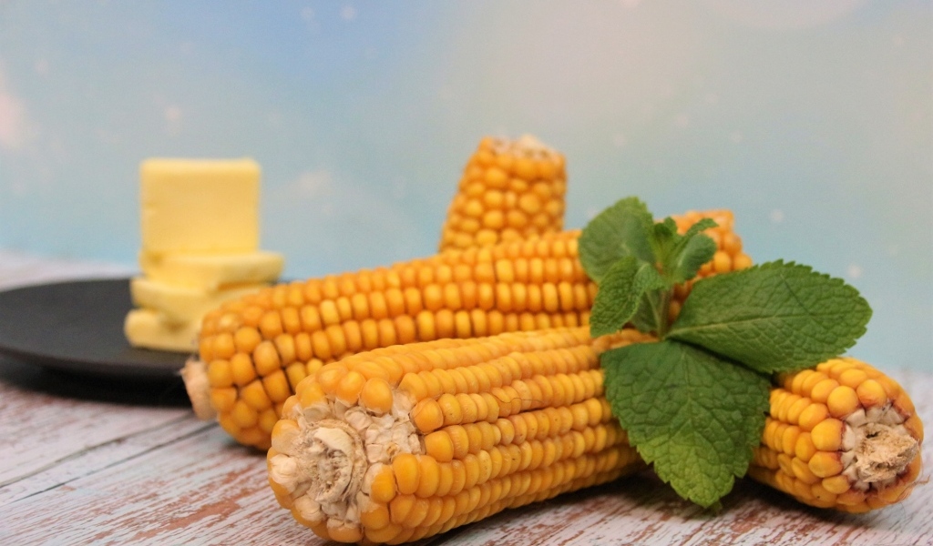 Початки кукурузы на столе с маслом