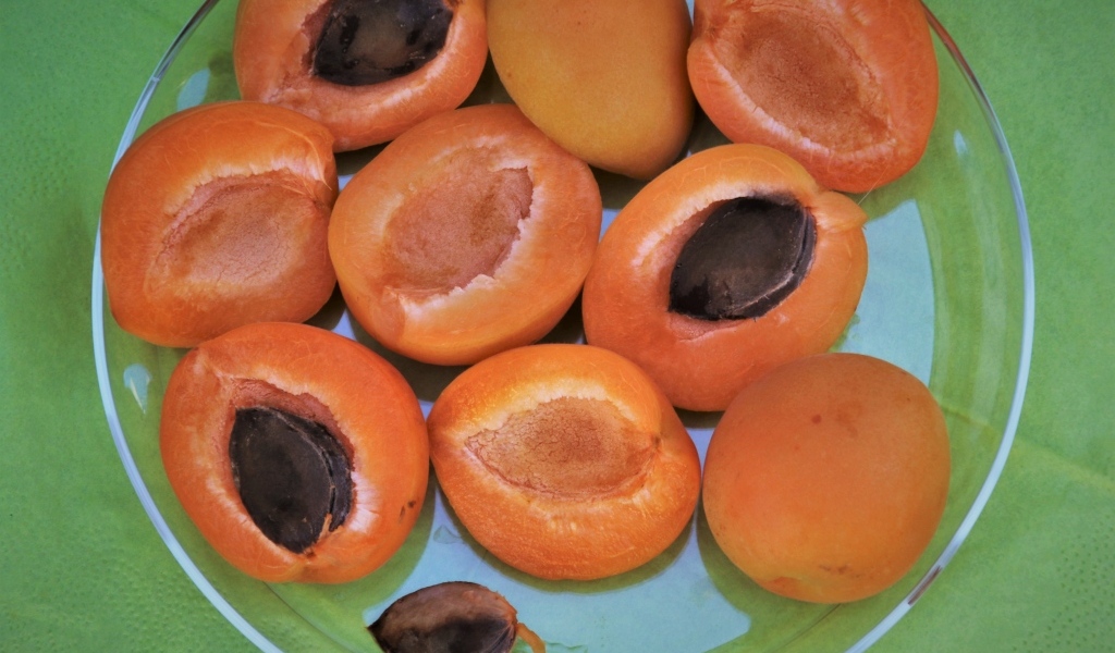 Абрикосы половинками на тарелке