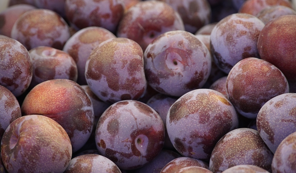 Много розовых слив крупным планом