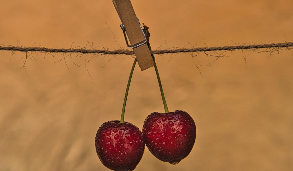 Две мокрые черешни с прищепкой на веревке