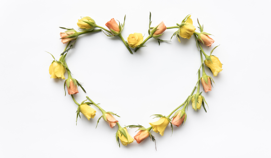 Милое сердце из роз на белом фоне