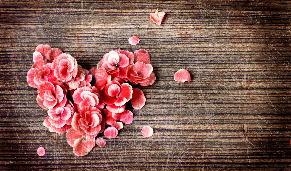 Сердце из цветов на деревянном фоне с царапинами