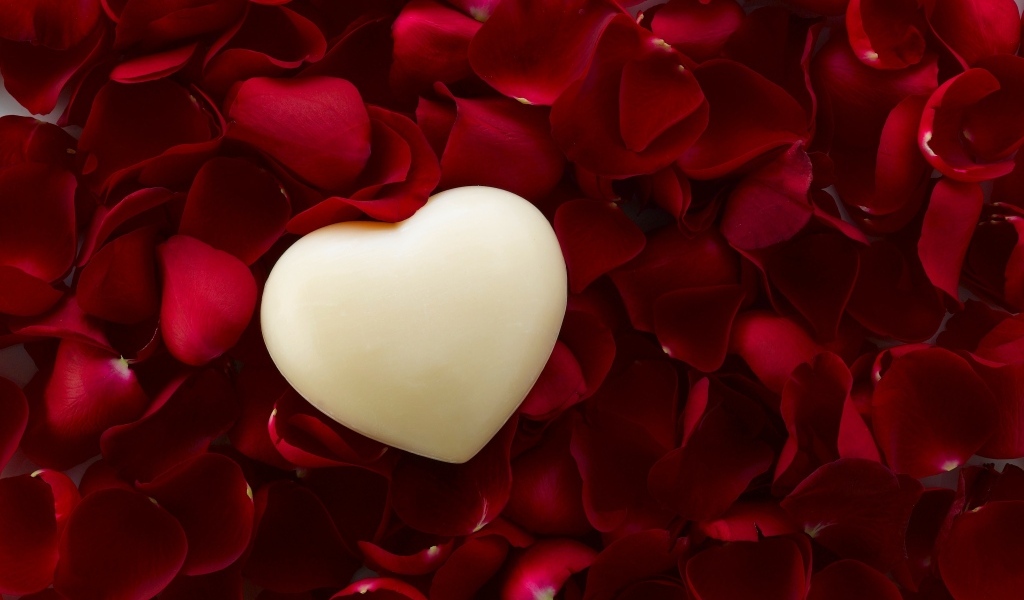 Белое сердце на красных лепестках розы