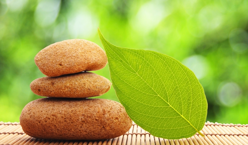 Пирамида из камней с зеленым листом 