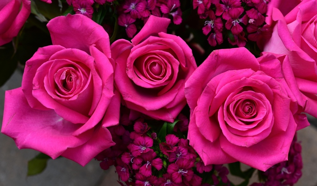 Букет розовых роз с гвоздикой