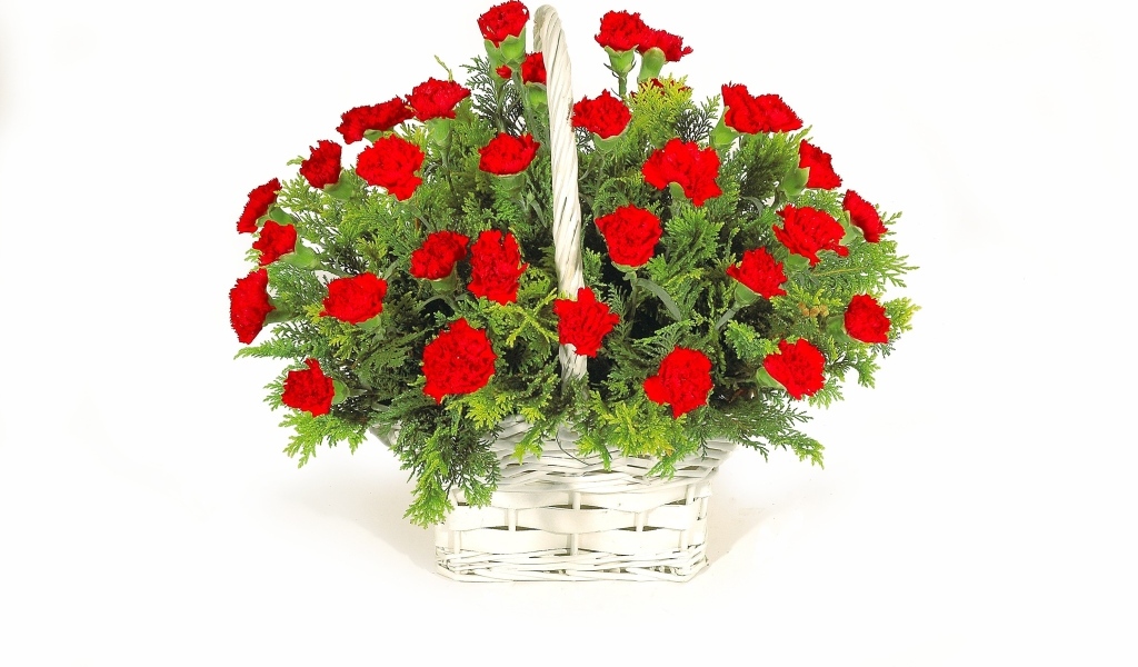 Букет красных гвоздик в корзине на белом фоне