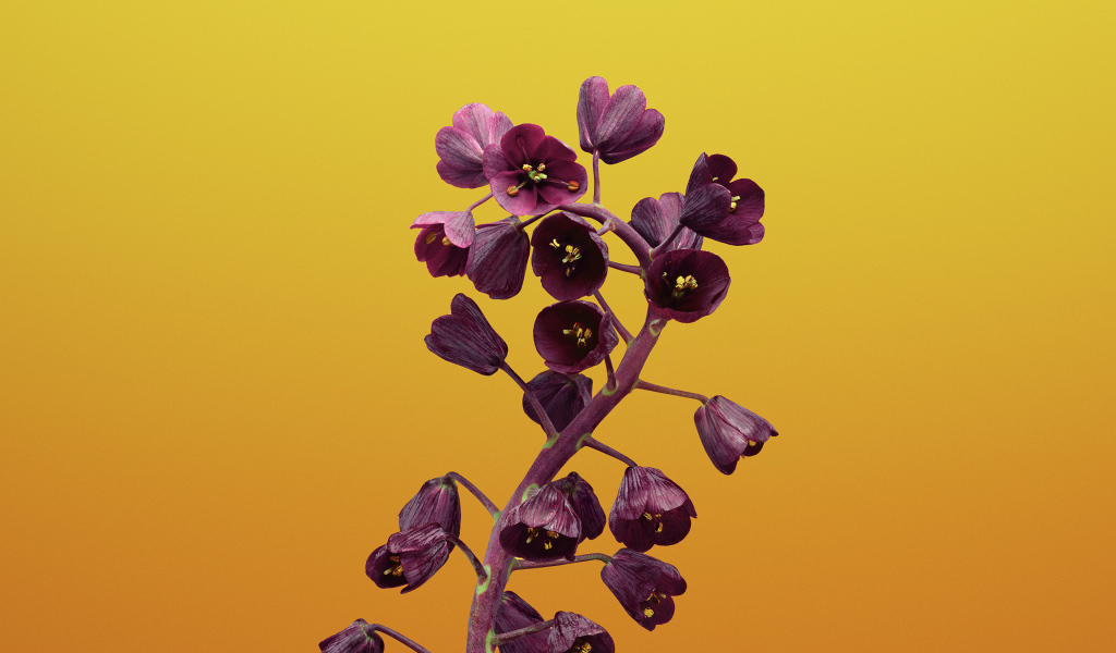 Цветы рябчика на желтом фоне