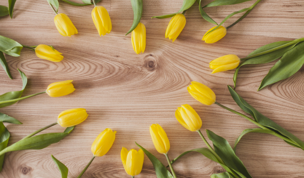 Сердце из желтых тюльпанов на деревянном столе