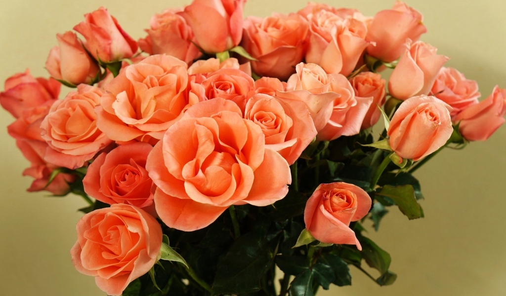 Огромный букет оранжевых роз крупным планом
